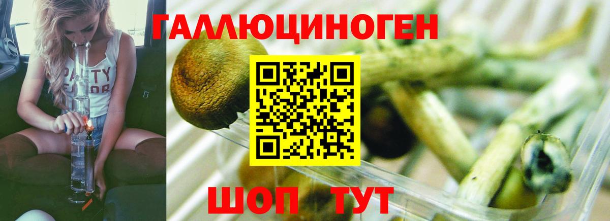 Псилоцибиновые грибы Psilocybine cubensis  Вход с VPN  Галлюциногенные грибы MAGIC MUSHROOMS  Ярославль 