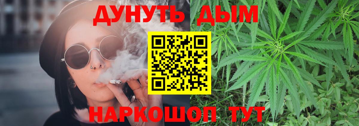 Конопля планчик Ярославль